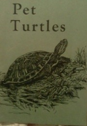 Pet Turtles (Julien Bronson)