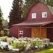 Dancing Fish Vineyards (Freeland, Washington)