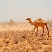 Somalia, El País Del No Turismo