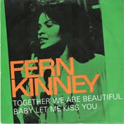 Together We Are Beautiful - Fern Kinney