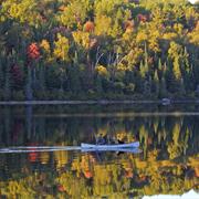 Algonquin Provincial Park
