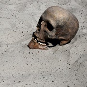 Mass Human Extinction