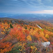 Georgia's Blue Ridge Mountains
