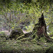 Ängsö National Park, Sweden