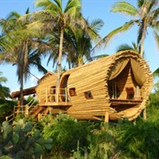 Playa Viva Resort, Zihuatanejo, Mexico