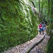 Watagans National Park (NSW)