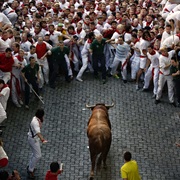 Festival De San Fermín (Running of the Bulls)