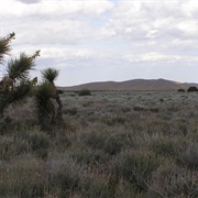 Arthur B. Ripley Desert Woodland State Park