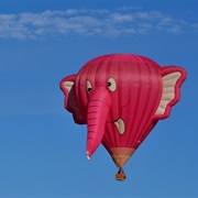 Elephant Hot Air Balloon