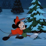 Chop Down Our Own Christmas Tree