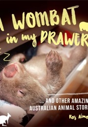 A Wombat in My Draw (Ros Almond)
