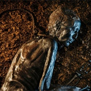 Bog Bodies Aarhus