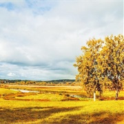 Estevan Is the Sunniest Place in Canada With 2537Hrs/Yr