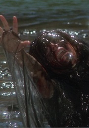 The Raft (Creepshow 2) (1987)