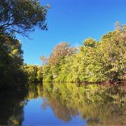 Mooloolah River National Park (QLD)