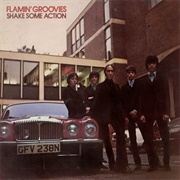Flamin&#39; Groovies - Shake Some Action (1976)
