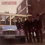 Flamin' Groovies - Shake Some Action (1976)