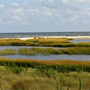 Connecticut Audubon Coastal Center