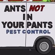 Ants Not in Your Pants Pest Control