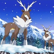 Sawsbuck (Winter)
