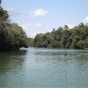 Old Belize River