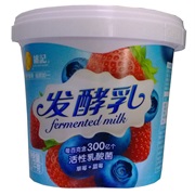 Kowloon Yogurt (Hong Kong)