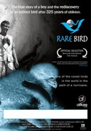 Rare Bird (2006)