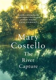 The River Capture (Mary Costello)