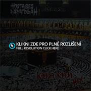 HOA/Manson Youth- Split