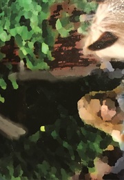 Häxjakten (Kjell Johansson)