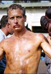 Cool Hand Luke