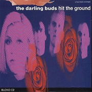 Hit the Ground - The Darling Buds