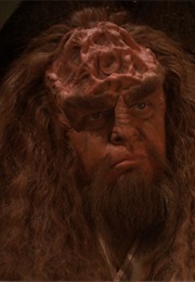 Rightful Heir (1993)