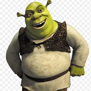 Shrek Disguise
