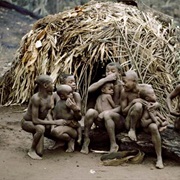 Pygmy Villages, Central African Republic