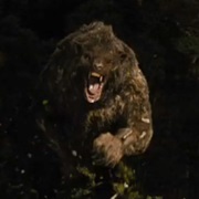 Beorn Bear
