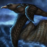 Black Bird of the Mountains