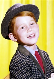 Ron Howard in the Andy Griffith Show (1960)