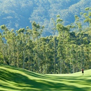 Bonville G.C. NSW, Australia