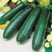 Zucchini / Courgette