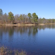 Carolina Sandhills National Wildlife Refuge