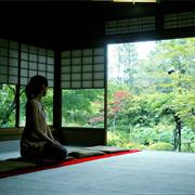 Visit a Japanese Garden