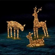 Lawn Reindeer