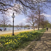 Hyde Park