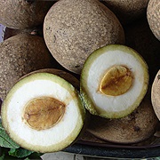 Bambangan (Mangifera Pajang)