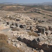 Cyrrhus