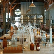 Tour the Edison & Ford Winter Estates in Fort Myers, Florida