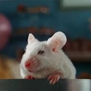 White Mouse 2