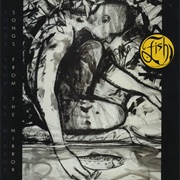 Fish - Songs From the Mirror