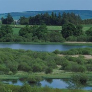 Loch of Kinnordy